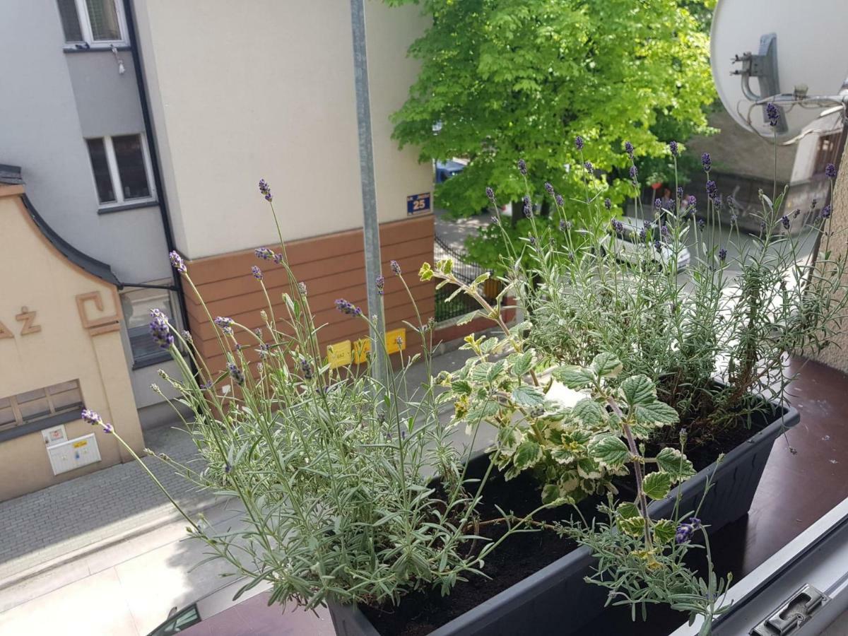 טארנאו Przytulna I Przestrzenna Garsoniera- Centrum מראה חיצוני תמונה